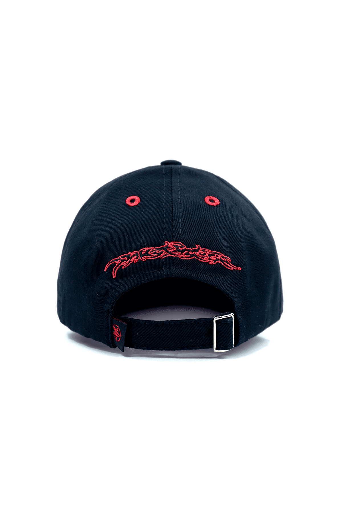 RACECAR - Cap